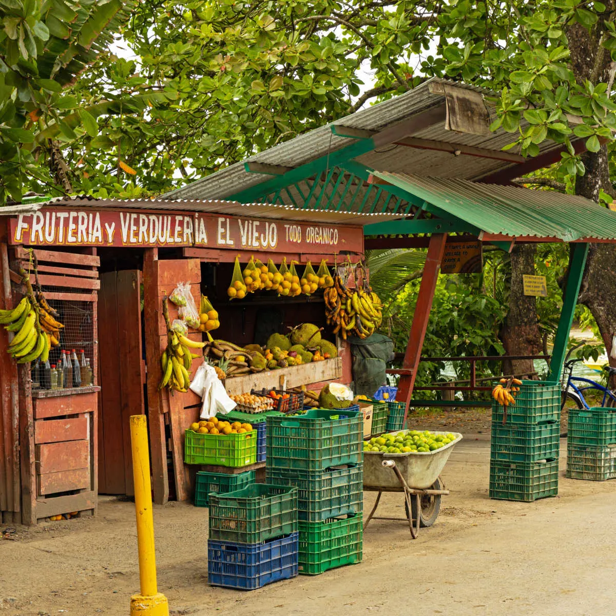 Fruit stand in Limon, Costa Rica