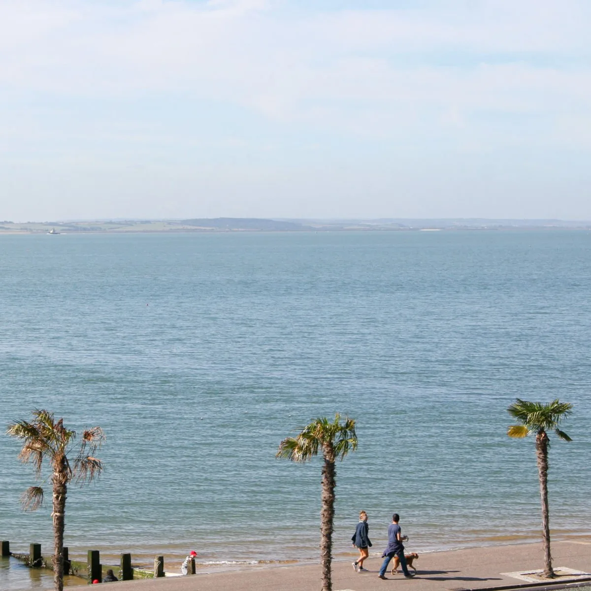 People walking dog on beach in Southend-On-Sea, UK