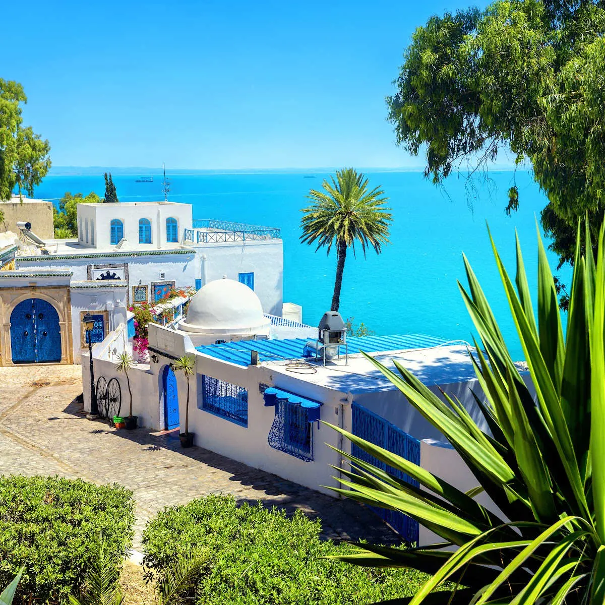 Santorini-esque buildings atop coastal hillside in Sidi Bou Said, Tunisia