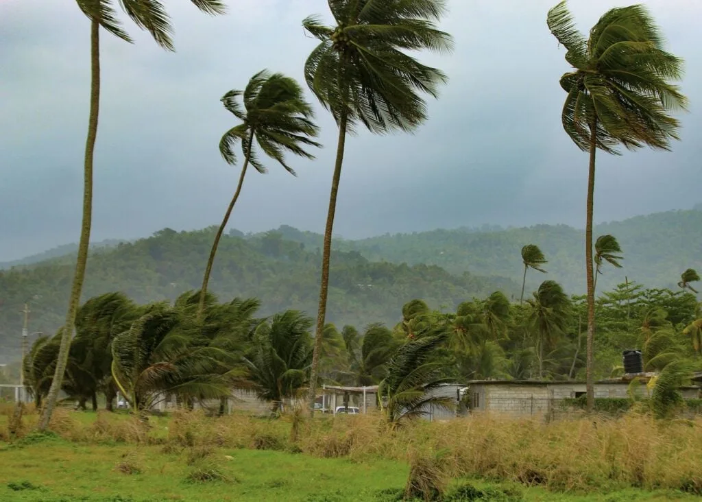 Storm Begins In Jamaica