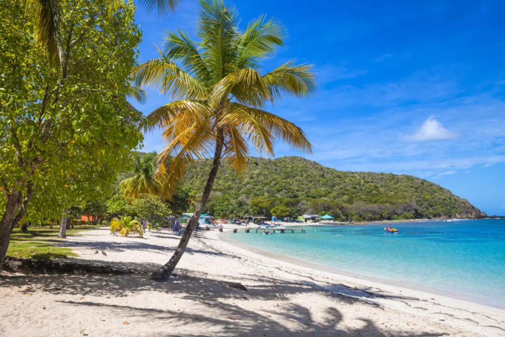 Beach in Saltwhistle Bay in The Grenadines