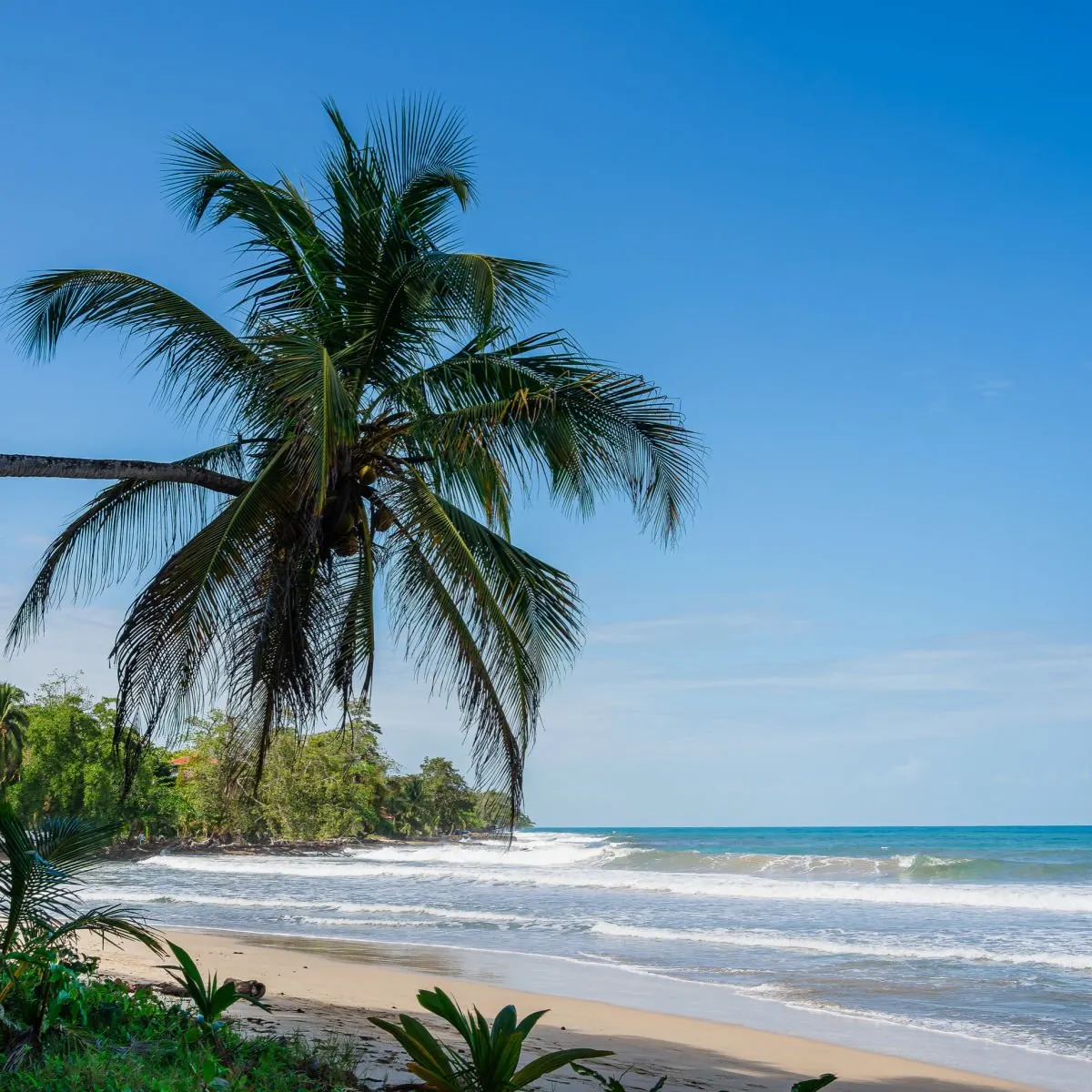 Unspoiled beach in Cahuita, Costa Rica