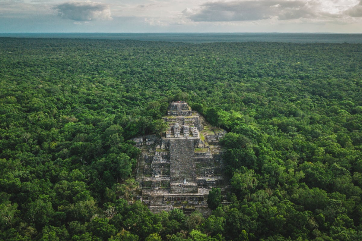 Aerial view of the pyramid, Calakmul, Campeche, Mexico. Ruins of the ancient Mayan city of Calakmul surrounded by the jungle