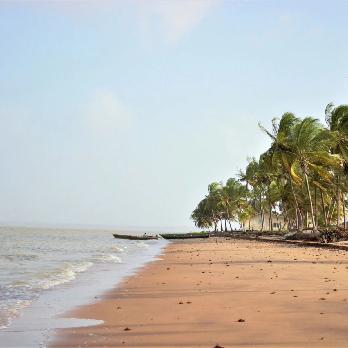 Beach in Galibi, Suriname