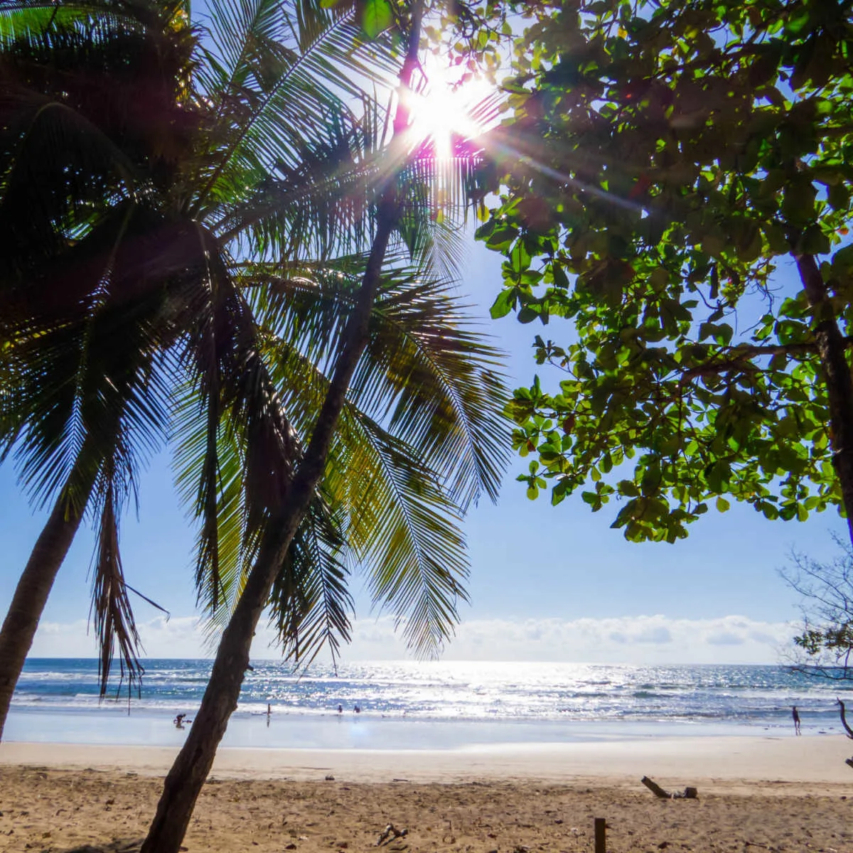 Paradisal beach in Costa Rica