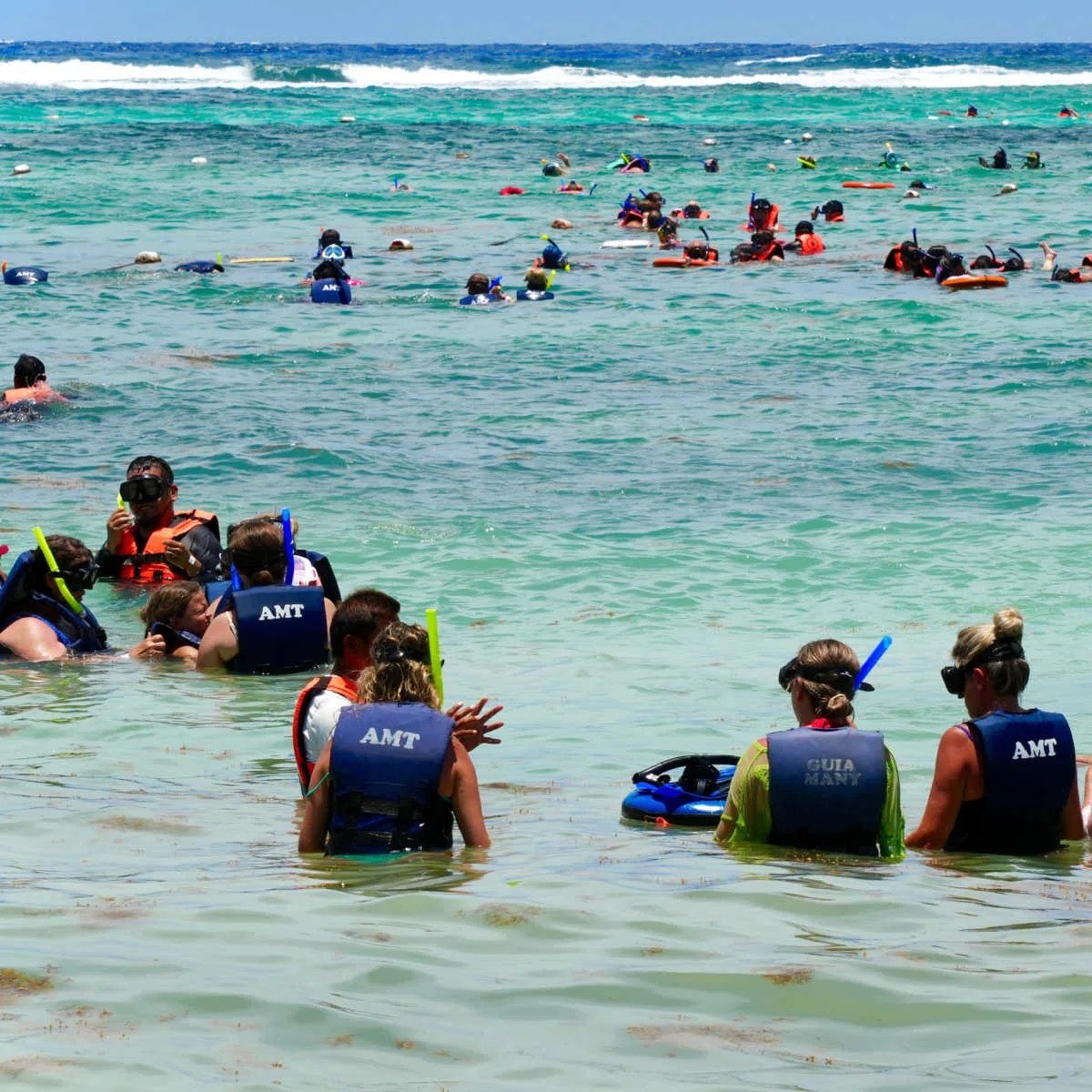 Snorkelers in Akumal, MX