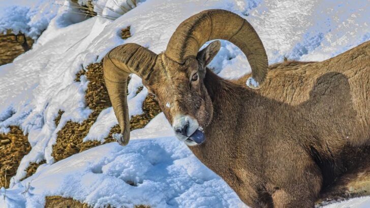 US Issues Highest Travel Advisory Warnings To Five More Countries