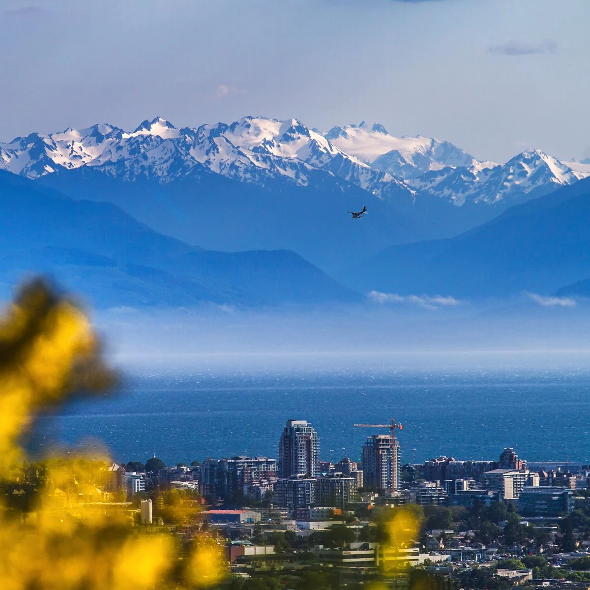 Victoria, Canada skyline backdropped by snow-capped mountains