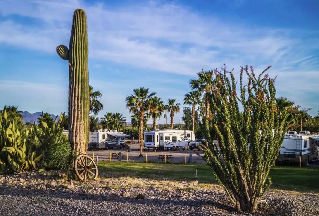 Yuma Arizona campground snowbirds