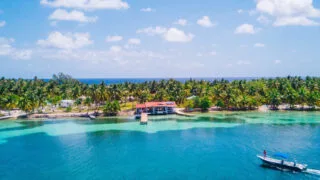 Palm Tree Lined Shores In Belize, Central America