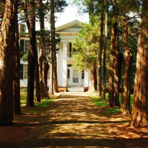 A tree lined path leads to Rowan Oak, William Faulkner's home in Oxford, Mississippi