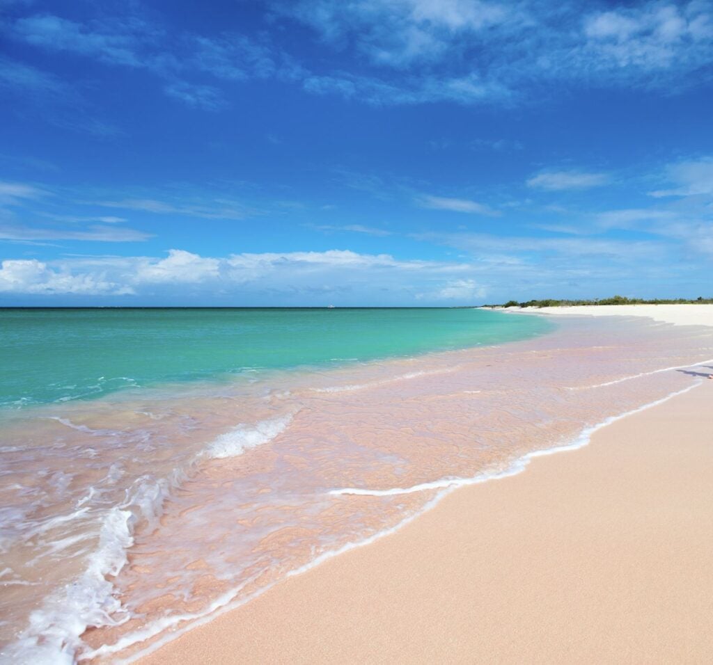 Barbuda Pink Sand beach