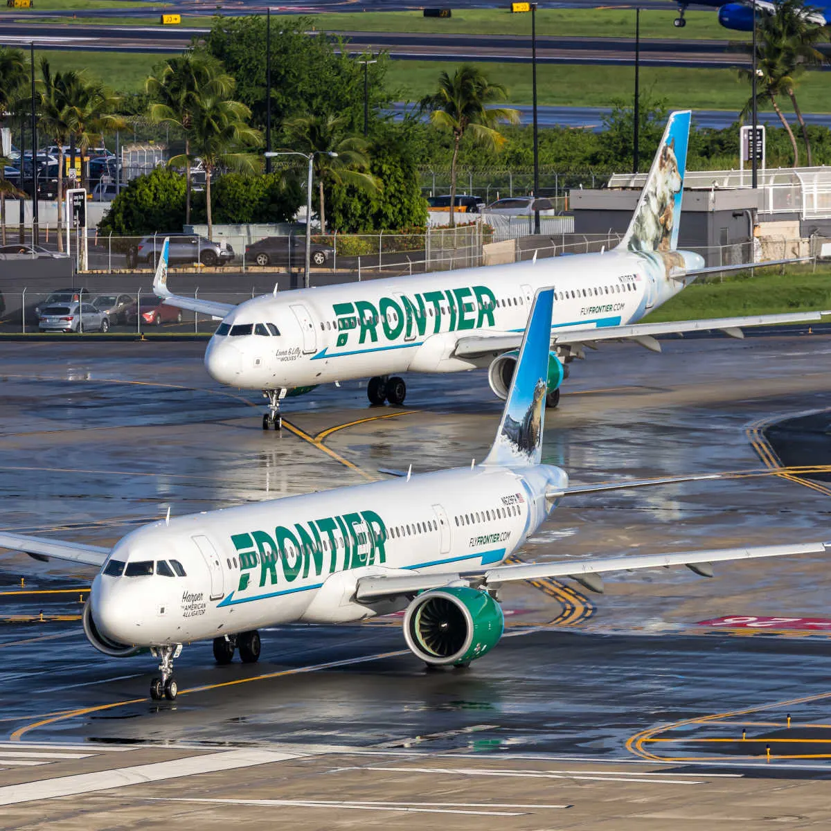 Frontier planes in tropical setting