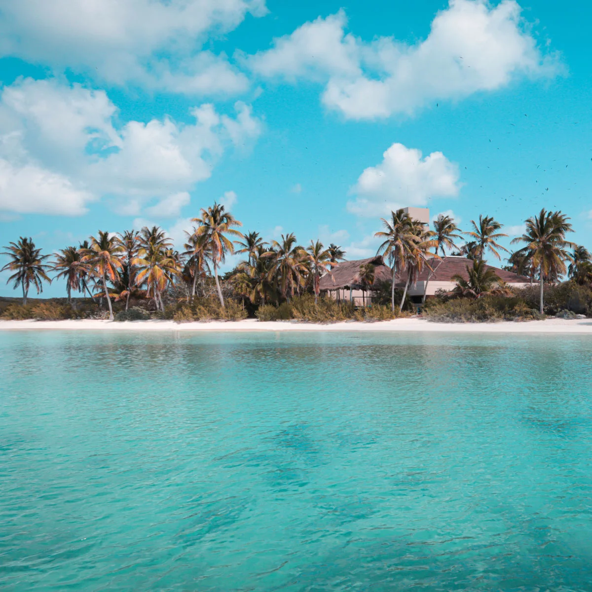 Isla Contoy near Cancun