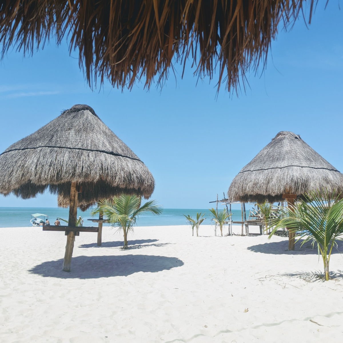 Palapas on beach in Celestun, Mexico