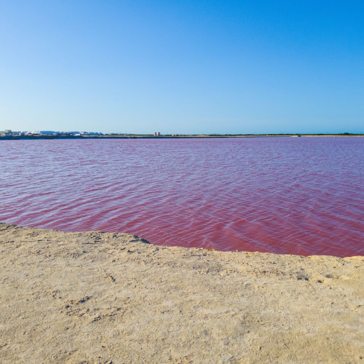 Pink water in Celestun, Mexico