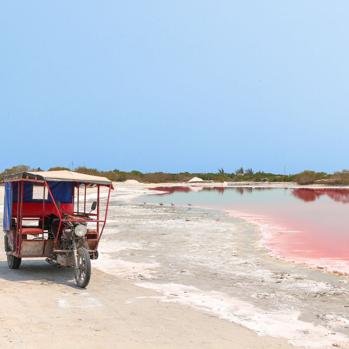 Rickshaw on pink river in Celestun