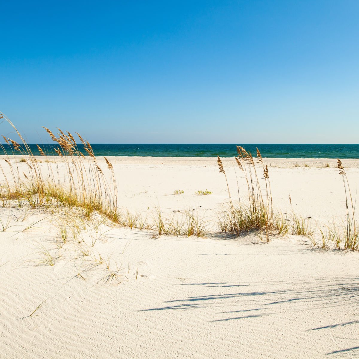 Secluded beach in perdido Key