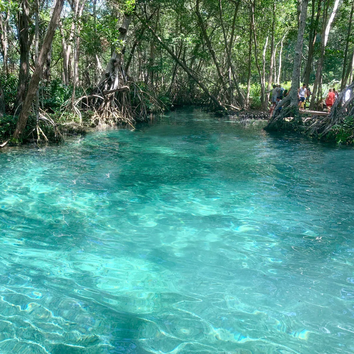 Turquoise lagoon in Celestun, MX