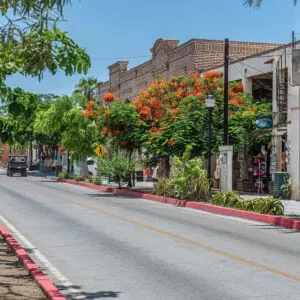 A Scenic Street In Todos Santos In Baja California Sur, Mexico