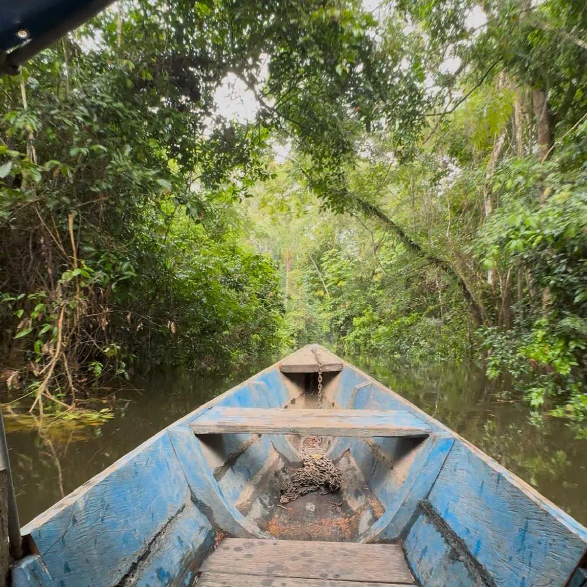 Boat ride through Amazon jungle of Peru