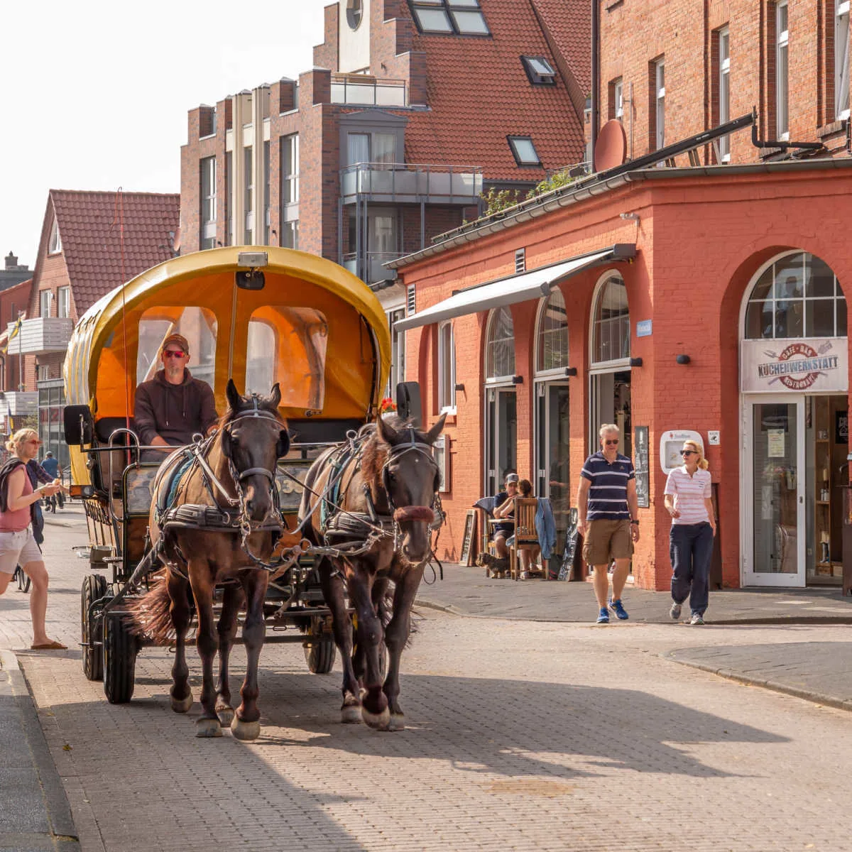 Carriage ride in Juist, Germany