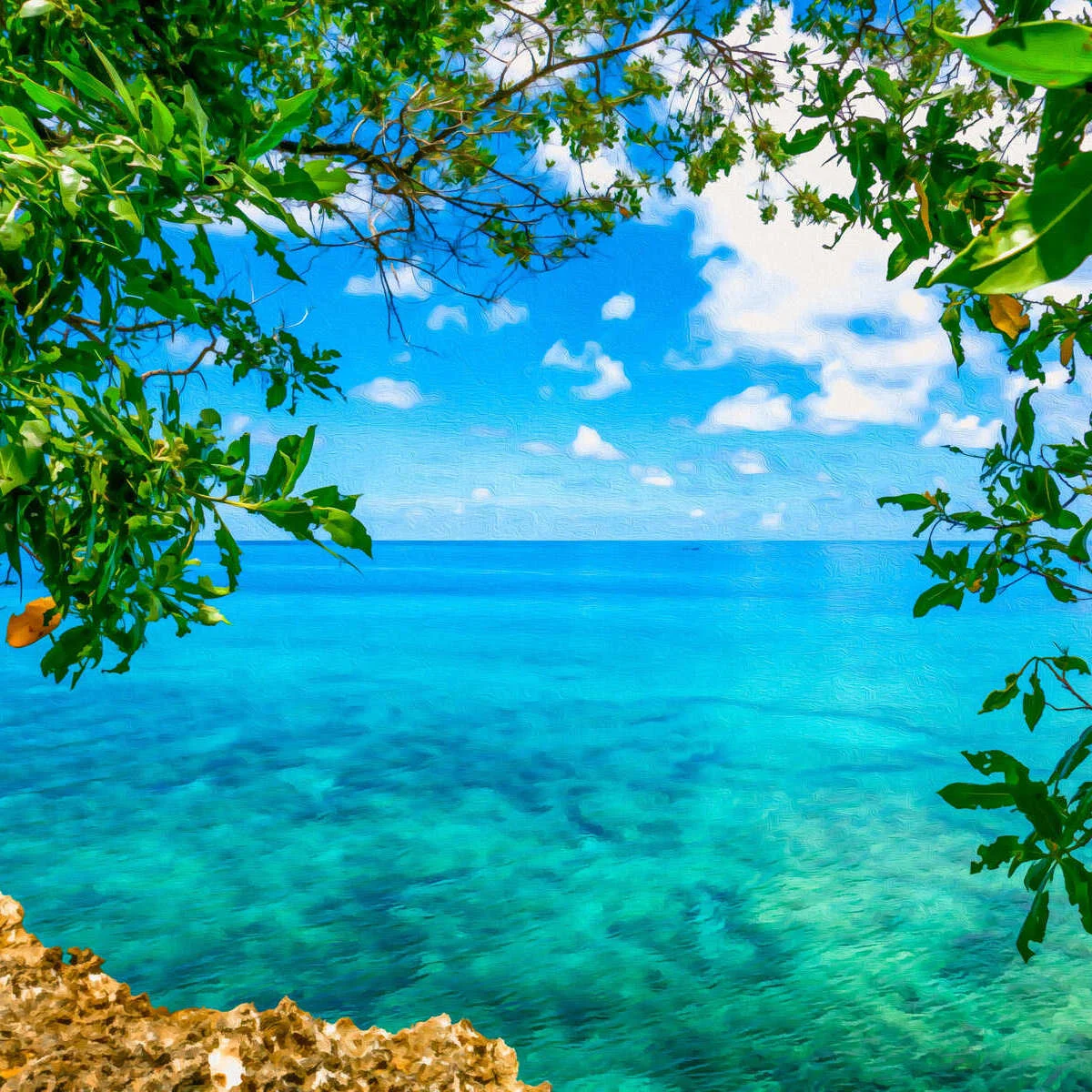 Turquoise Seas In San Andres, Colombia
