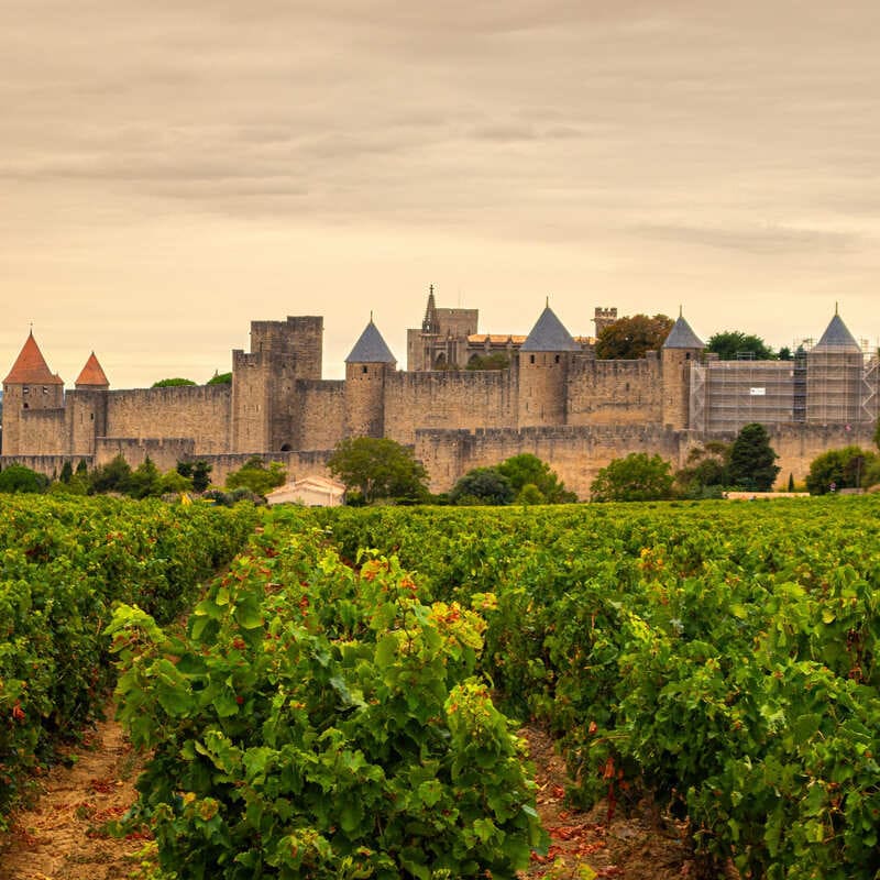 Vineyards Surrounding Carcassonne, France