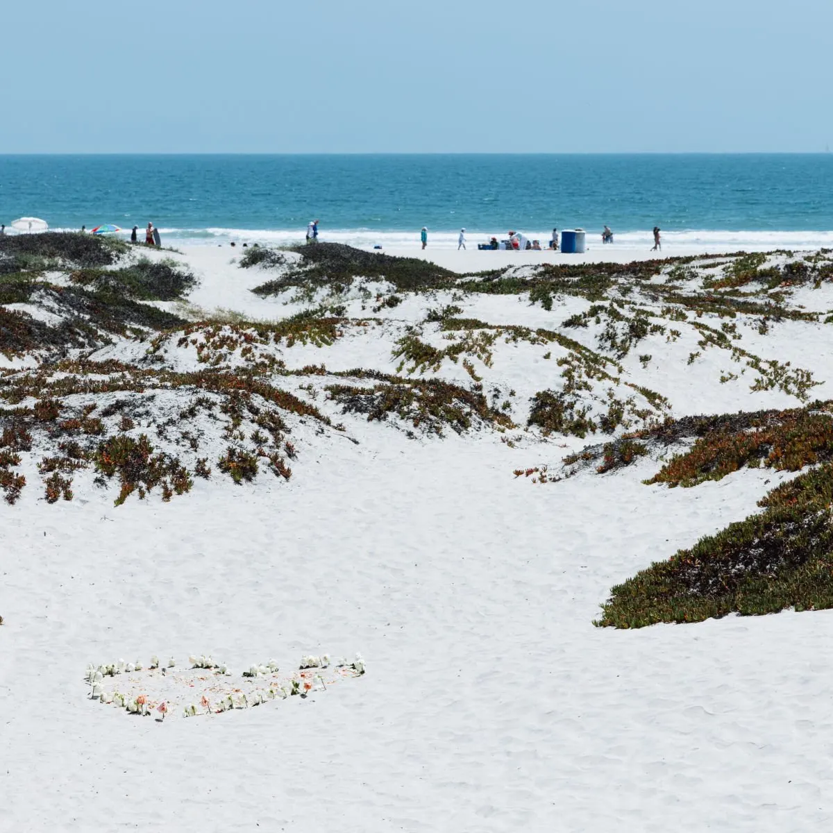 White sand beach dunes behind Hotel del Coronado