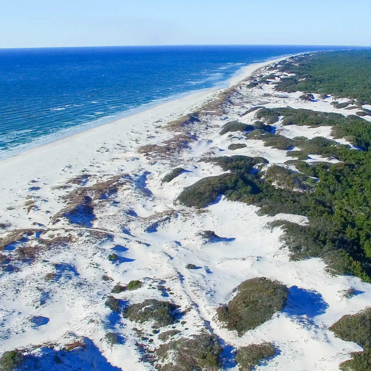 White-sand coast of Cape San Blas, FL