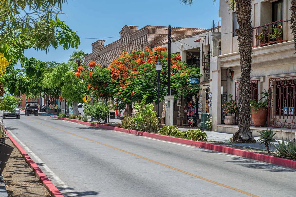 A Scenic Street In Todos Santos In Baja California Sur, Mexico
