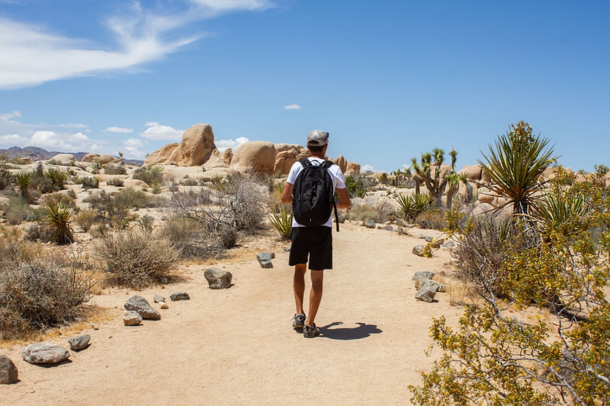 Young man hiking with backpack in the desert between boulders and joshua trees on Arch Rock Trail in Joshua Tree National Park, California, USA