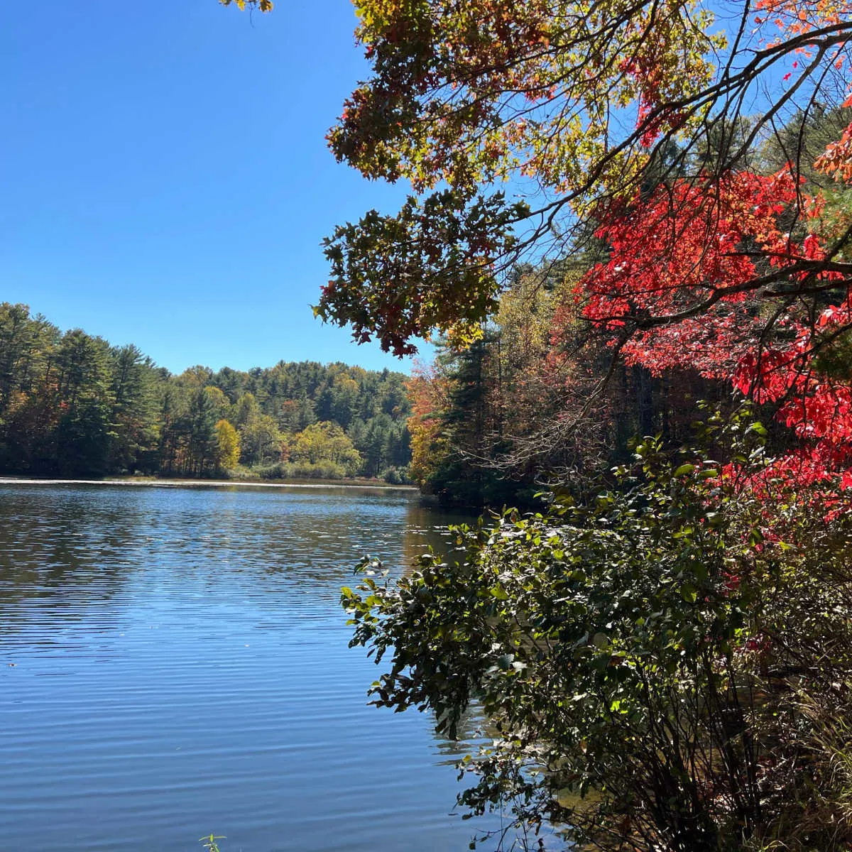 Adventure Lake at Pipestem State Park