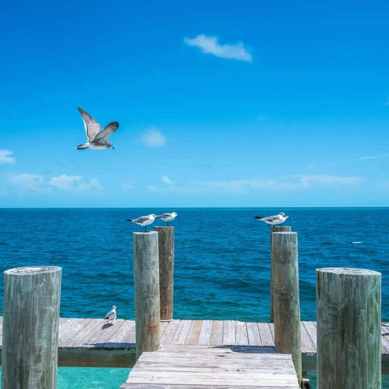 Beautiful Pier In Bimini, The Bahamas