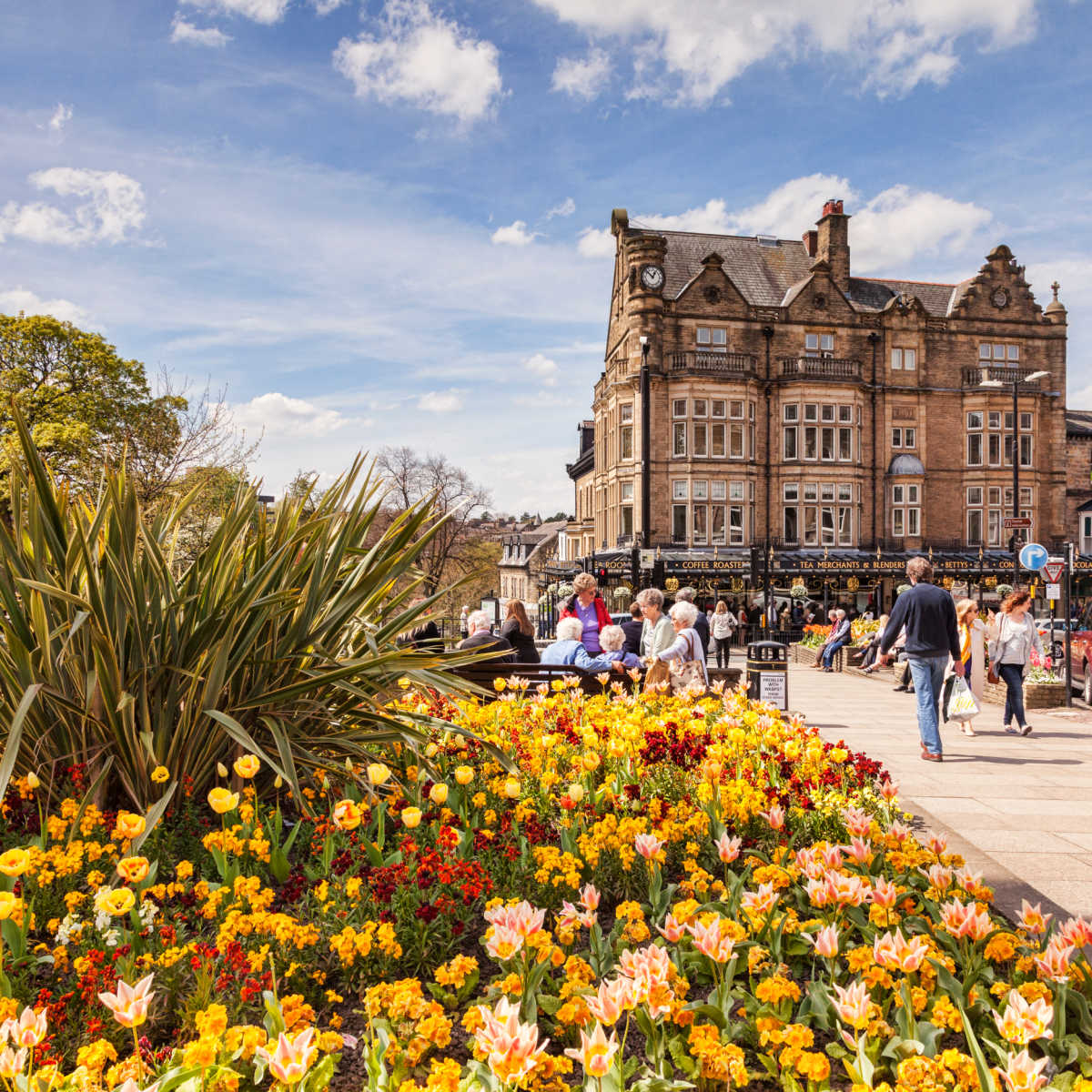  Colorful flowers in town center of Harrogate, UK