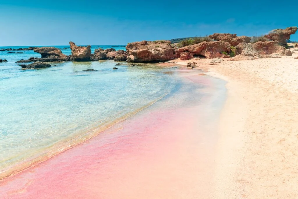 Elafonissi Pink Beach In Crete, Greece