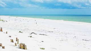 White sand beach in Port St. Joe