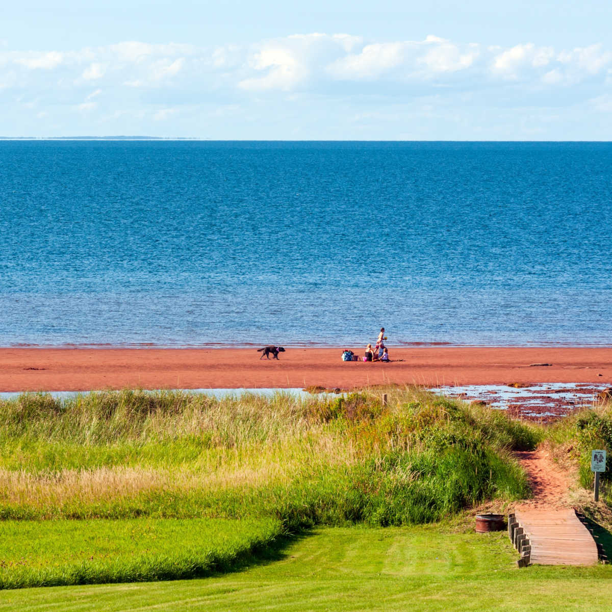 Family on red-sand beach in Prince Edward Island