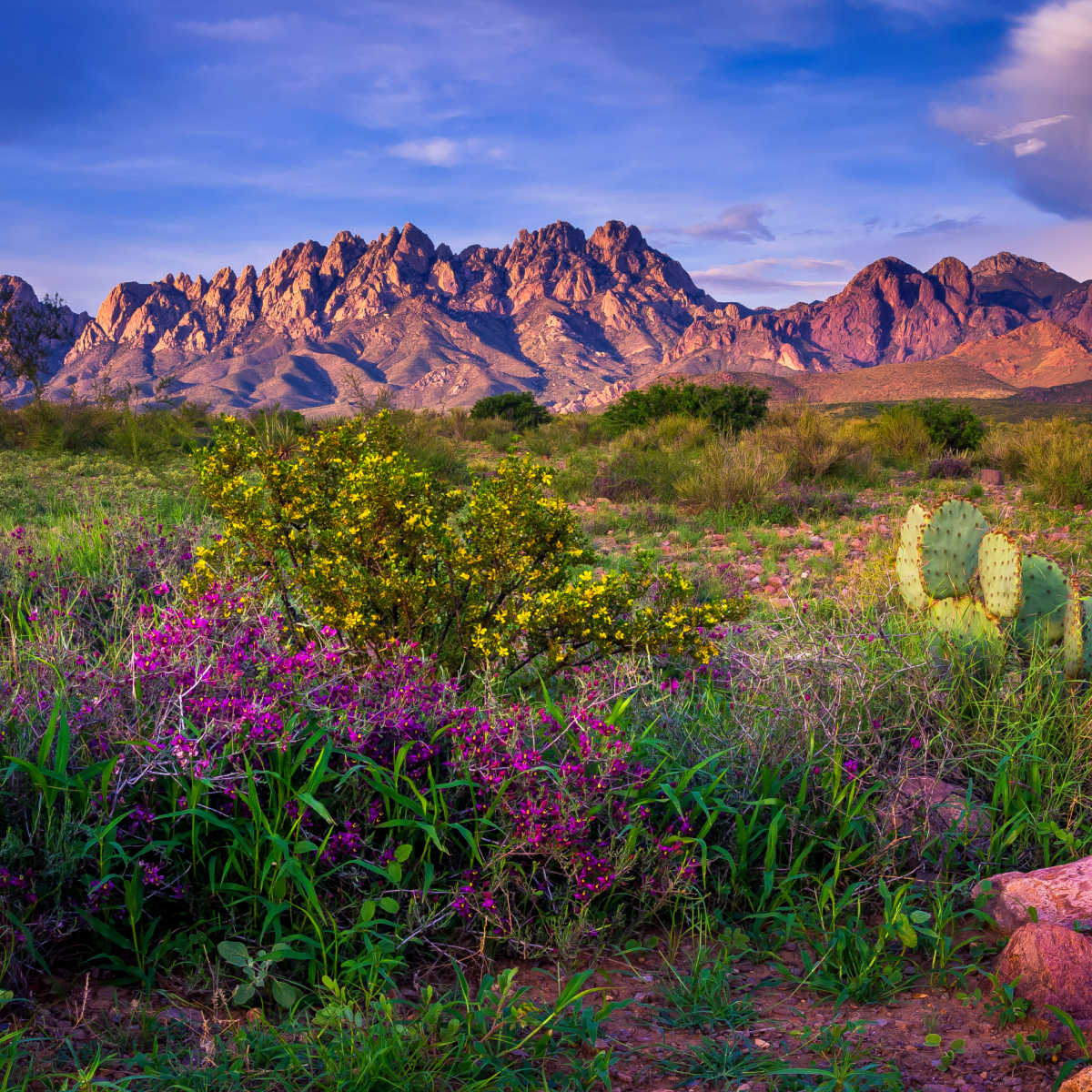 Organ Mountains in Las Cruces, NM