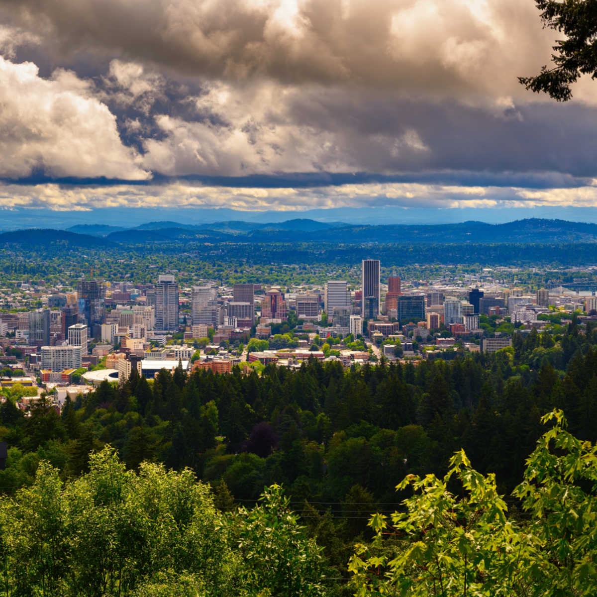 Portland, OR skyline surrounded by dense forestry