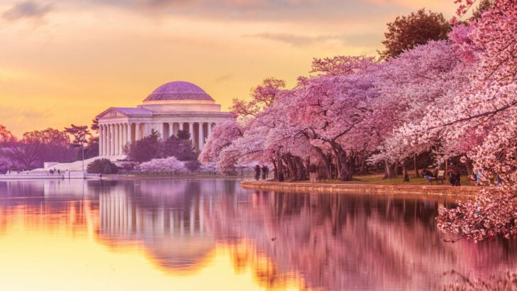 US Issues Highest Travel Advisory Warnings To Five More Countries