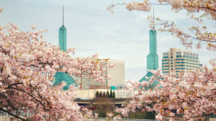 US Issues Highest Travel Advisory Warnings To Five More Countries