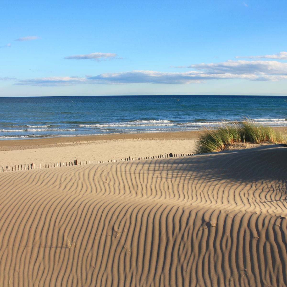Vast area of rippled dunes, Camargue region in the South of Montpellier, France