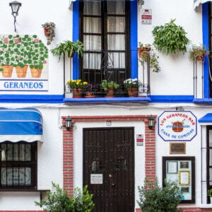 Charming bodega in Almu&ntilde;&eacute;car, Spain