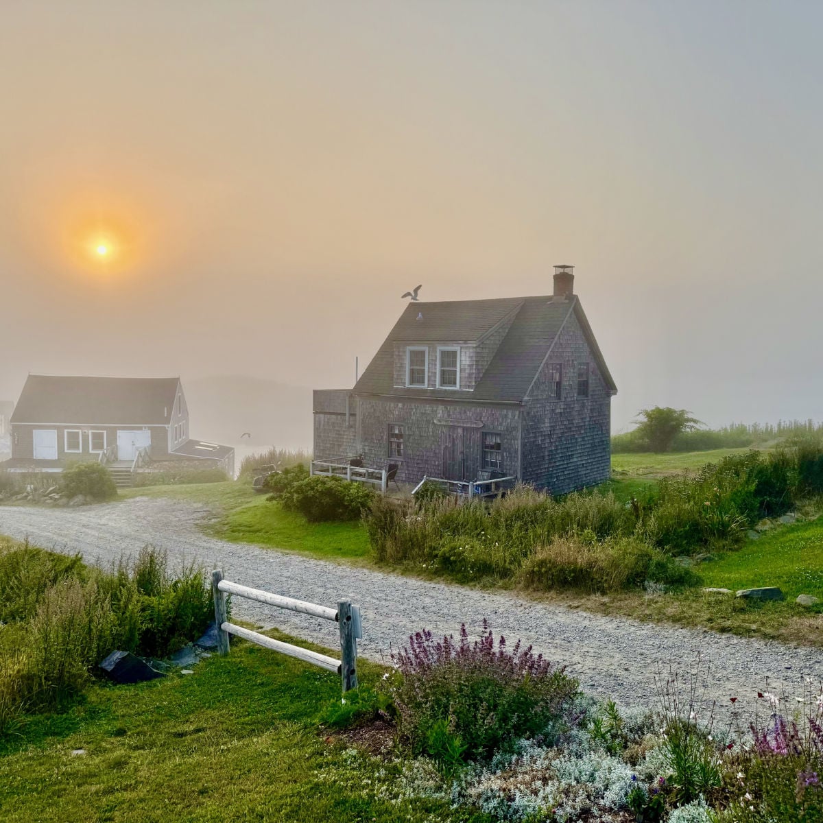 Cottages on foggy morning - Monhegan Island, Maine