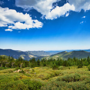 Idaho Springs, CO lush greenery