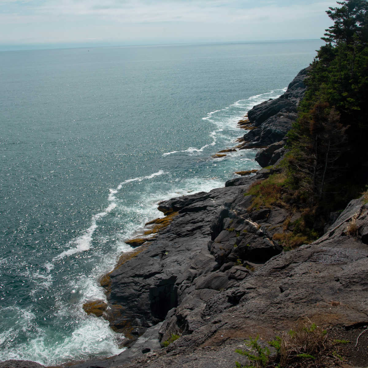 Jagged cliffside in Monhegan, Island, ME
