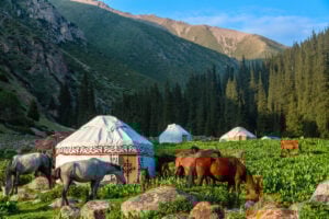 Kyrgyzstan iconic picture. Traditional Kyrgyz yurts with horses in a scenic mountains landscape. Altyn Arashan valley, Karakol city. Nomadic traditions