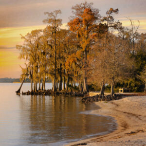Sandy beach in Fontainebleau State Park