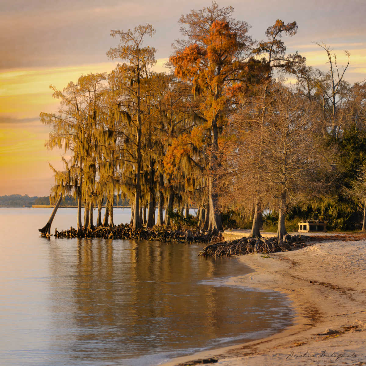Sandy beach in Fontainebleau State Park